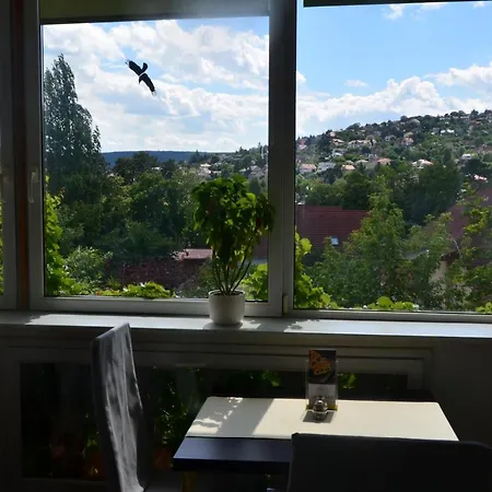 Viktória Casa de hóspedes Balatonalmádi