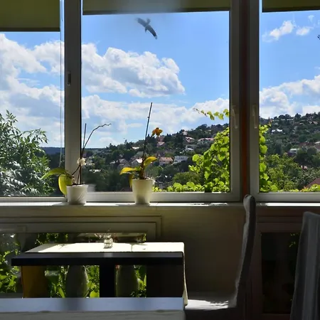 Viktoria Guest house Balatonalmadi