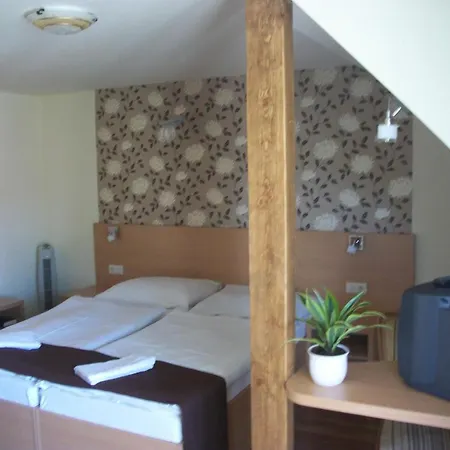 Viktória Pensión 3*