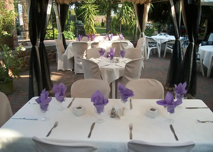 Viktoria 발라톤알마디